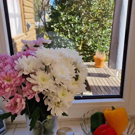 Holiday home Boehler-landstrasse-154d *